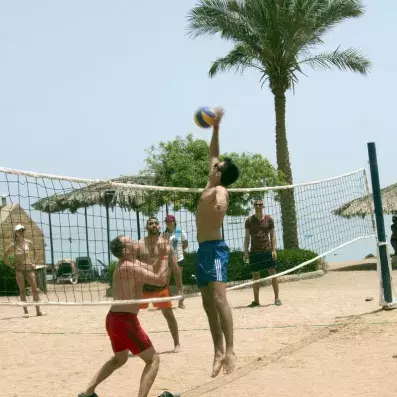 personnes jouant au volley beach