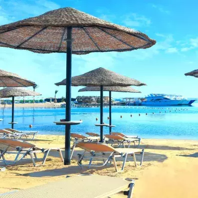 plage, transats et parasols 