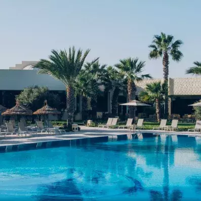 piscine palmiers et transats