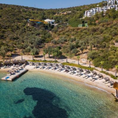 plage avec transats et parasols