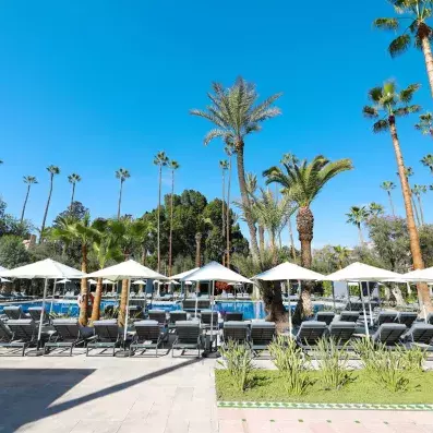 piscine extérieur avec les transats et les parasols et des palmiers