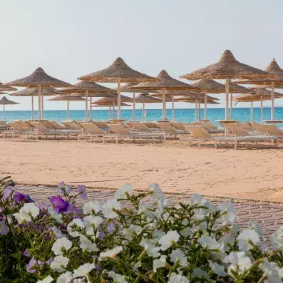 plage, transats et parasols