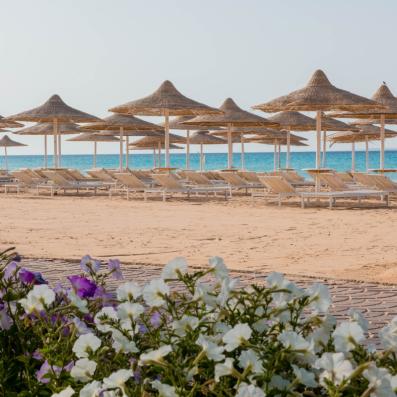 plage, transats et parasols