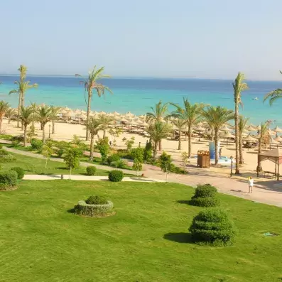 vue végétation + plage