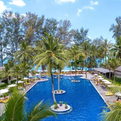 une piscine extérieure avec des palmiers autour et des transats 