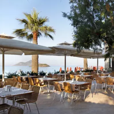 restaurant extérieur avec des palmiers autour et couvert par des parasols