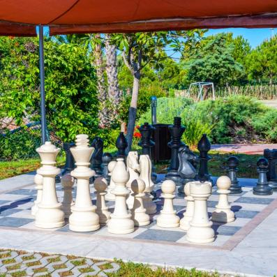 jeux d'échecs