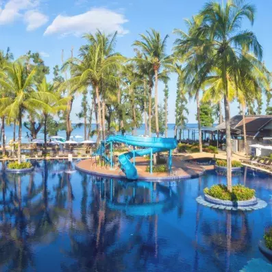 piscine extérieur avec palmier