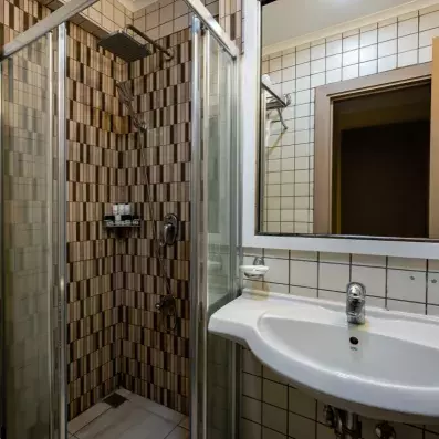 salle de bain avec douche