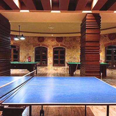 tennis de table
