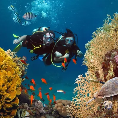 plongée sous marine