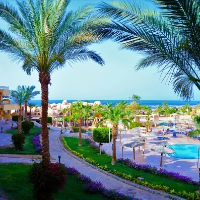 jardin palmiers et piscine