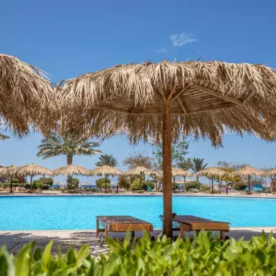 piscine avec transat