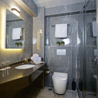 salle de bain avec douche 