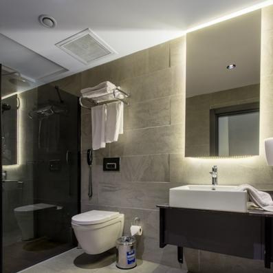 salle de bain avec douche