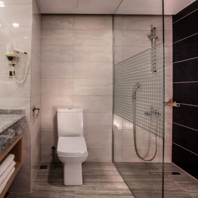 salle de bain avec douche