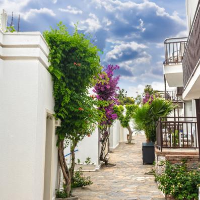 ruelle 