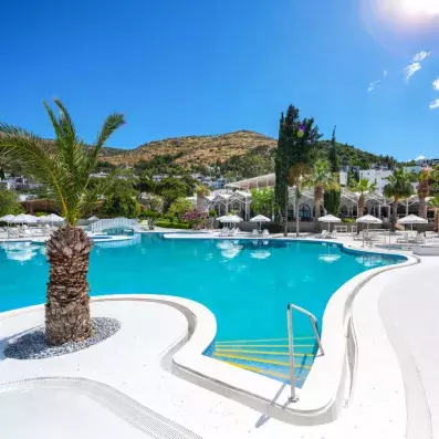 piscine extérieure turquoise avec des palmiers 