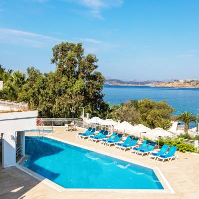piscine avec transats et parasols 