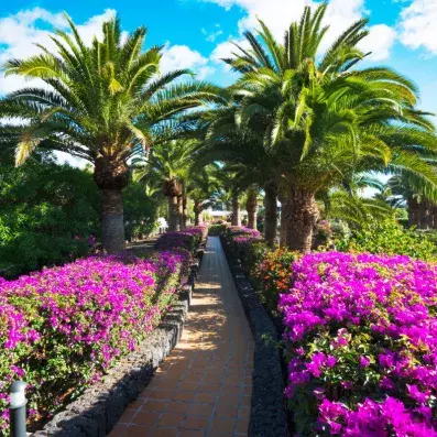 jardin extérieur de l'hôtel