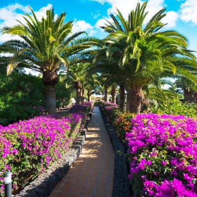 jardin