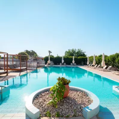 piscine avec pot de fleurs 