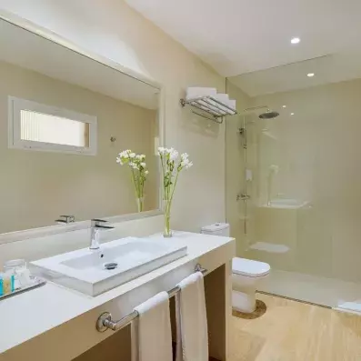 salle de bain avec douche et miroir