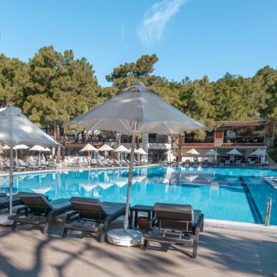 piscine et transats