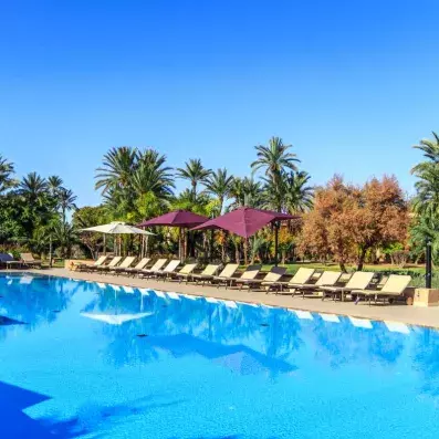 piscine extérieur, juste derrière des transats, un jardin avec des arbres et un ciel bleu