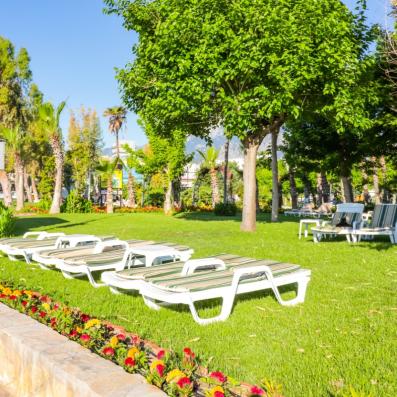 jardin