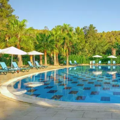 piscine avec transats et parasols