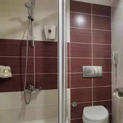 salle de bain avec douche et toilette