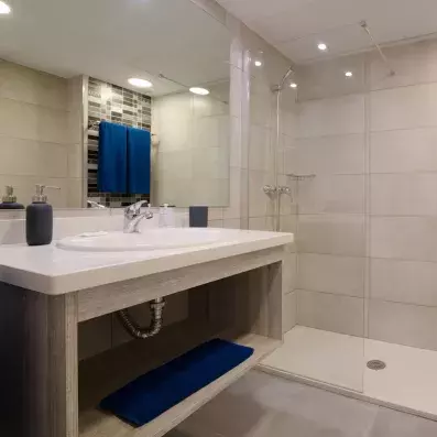 salle de bain avec douche et lavabo et miroir
