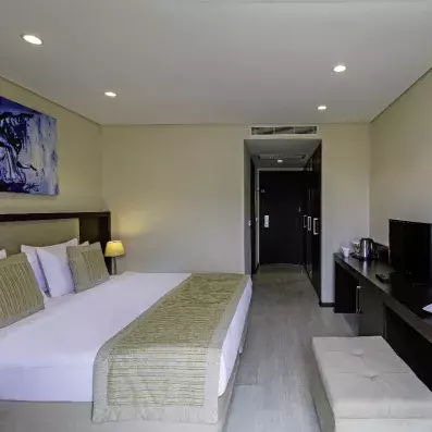 chambre avec un grand lit double et télévision