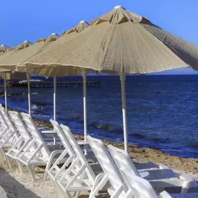 plage avec transats et parasols