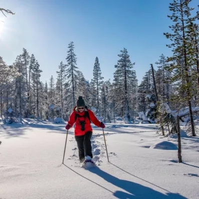 Randonnée en raquettes dans la forêt enneigée lors de vacances hivernales près de l'hôtel Merihovi en Laponie.