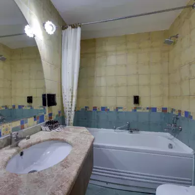 salle de bain avec baignoire et lavabo et miroir