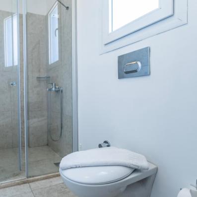 salle de bain avec douche