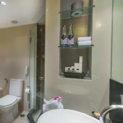 salle de bain avec toilette 