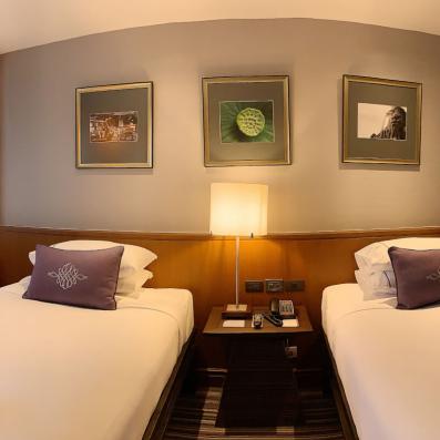 chambre standard 