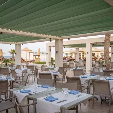kalypso restaurant 