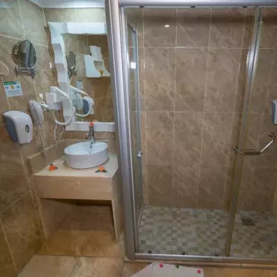 salle de bain avec douche