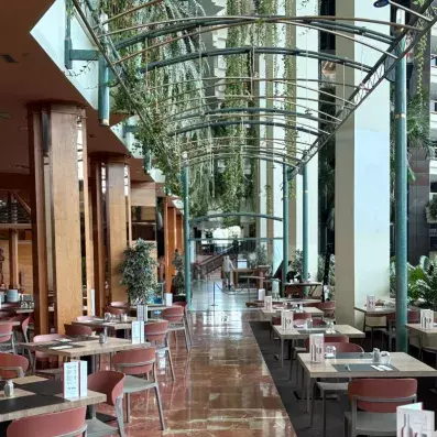 salle de restaurant avec table dressées et décorations végétales