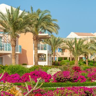 palmiers fleurs hotel