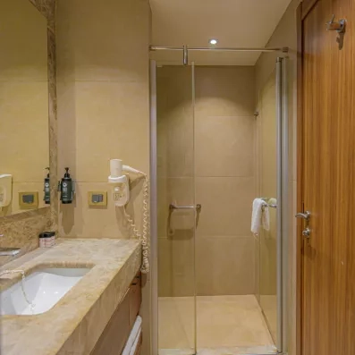 salle de bain avec douche 