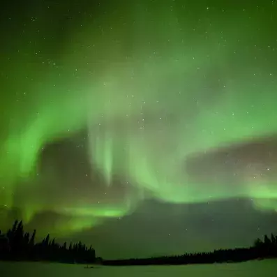 Aurores boréales vertes dans le ciel de Sodankylä au-dessus d'une forêt enneigée.