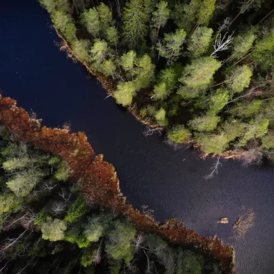 Vue aérienne d'une rivière entouré de forêt