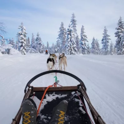 Expédition en traîneau à chiens à travers les forêts enneigées, aventure nature au Grand Arctic Resort.