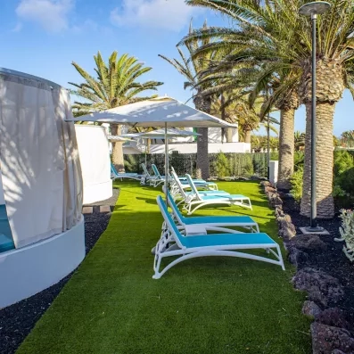 Une allée paisible bordée de palmiers et de chaises longues, offrant un cadre tropical.