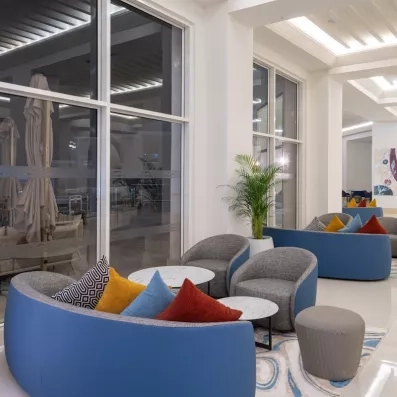 salons canapé bleu et gris fauteils coussins multico grande baie vitrées plantes vertes murs blancs
